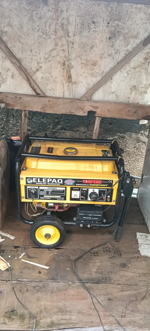 4.5Kva Elepaq Generaror 4