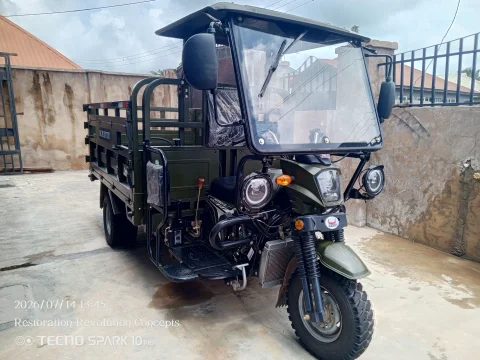 Kainiu Heavy-Duty Tipping Cargo Tricycle (350cc, 5-Tyres, 4 Tons Capacity) 4