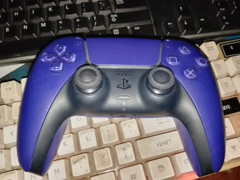 PS 5 Controller
